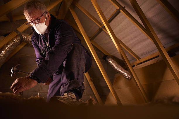 Best Geographic-Specific Insulation Services in Salisbury, NC