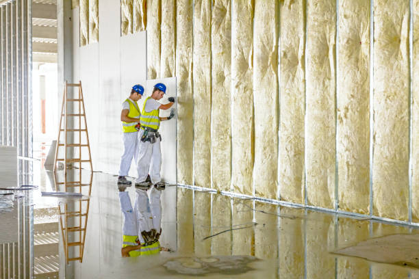 Best DIY Insulation Kits and Guidance in Salisbury, NC